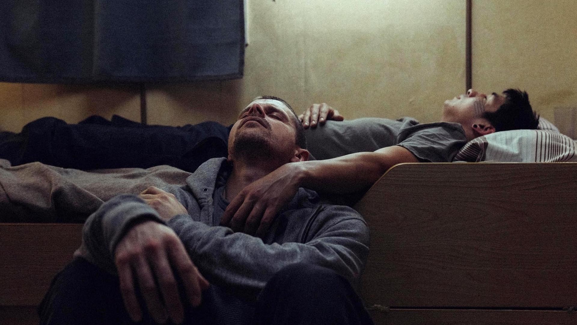 VTIFF: "Labrador: Autopsy of Silence" (2026)